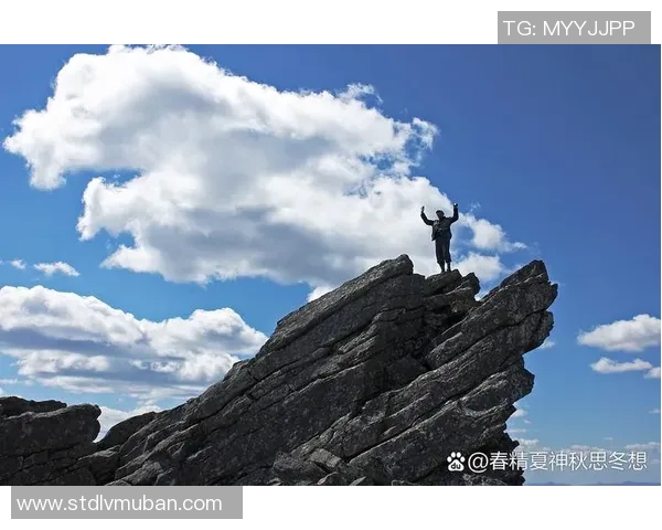 攀岩之路上的坚持与梦想：杨敏的深度对话与人生启示