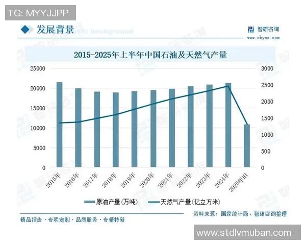 数据分析视角下LNG行业个人能力表现的全面评估与提升策略 数据分析视角下LNG行业个人能力表现的全面评估与提升策略