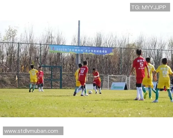 在绿茵场上编织梦想的童话故事与足球的奇妙旅程